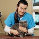 Sayrebrook Veterinary Hospital PA - Veterinary Clinics & Hospitals