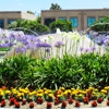 Irvine Advisors LLC gallery