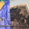 Roto-Rooter Plumbing & Water Cleanup gallery