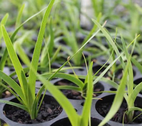 BEST Nursery - Inverell, NSW
