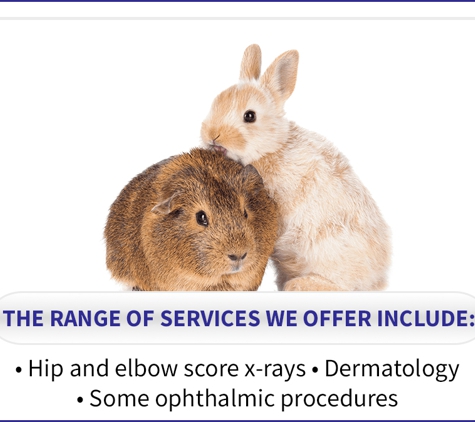 Alcorn Street Veterinary Clinic. • Hip And Elbow Score X-Rays • Dermatology • Some Ophthalmic Procedures