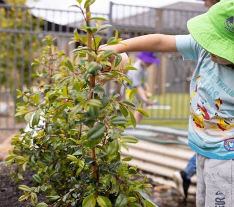 Tillys Play & Development Centre - Chisholm, NSW. Chisholm