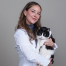 CityVet | Southtown