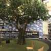Martha Riley Community Library, Roseville Public Library gallery
