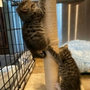 Gettysburg Pike Animal Clinic - Veterinarians