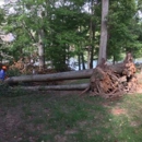 Alexandria Tree Services Unlimited - Tree Service