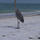 Travel & Tours LLC - Travel Agencies