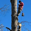 Ground Tech Tree Service - Landscape Designers & Consultants