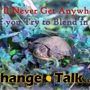 Change Talk LLC