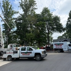 Dominion Tree Care Specialists