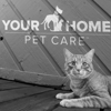 Your Home Pet Care gallery