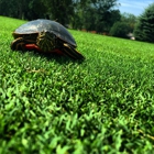 Brooks Yellow Golf Course