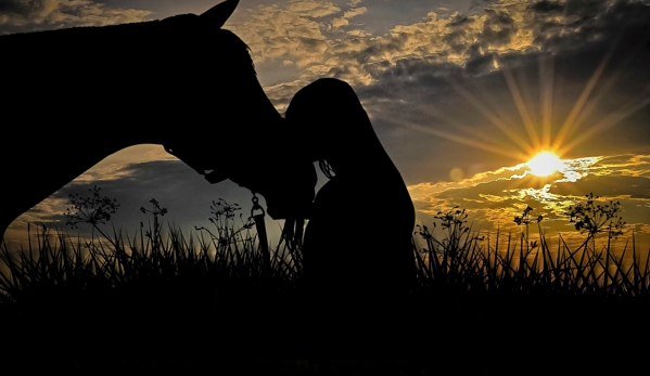 The Meadows of Murfreesboro Horse Farm - Murfreesboro, TN