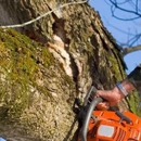Woodland Tree Service - Excavation Contractors