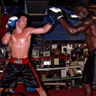 Adam Willett Technique Boxing