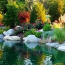 Vision Scapes Lawn & Landscape - Lawn Maintenance