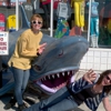Shark Attack gallery