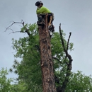 Ketner Tree and Landscaping - Tree Service