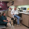 VCA McCormick Ranch Animal Hospital and Emergency Center gallery