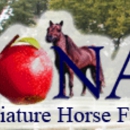Iona Miniature Horse Farm - Horse Breeders
