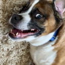 Animal Care at Twin Lakes Center - Veterinary Clinics & Hospitals