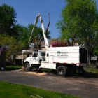 Crown Tree Care Inc