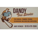 Dandy Tree Service - Tree Service