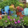 Lakeland Yard & Garden Center gallery