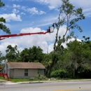 Clearcut Tree Service - Stump Removal & Grinding