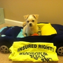 Hanson & Ryan Inc - Insurance Consultants & Analysts