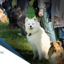 Dog Training Elite Milwaukee - Dog Training