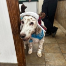 Indian Ridge Animal Hospital, Inc. - Veterinary Clinics & Hospitals