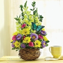 Conroys Flowers - Flowers, Plants & Trees-Silk, Dried, Etc.-Retail