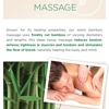 Massage for Wellness gallery