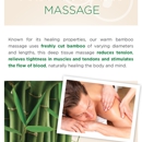 Massage for Wellness - Massage Therapists