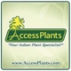 Access Plants