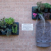 Gallery Image Number 4