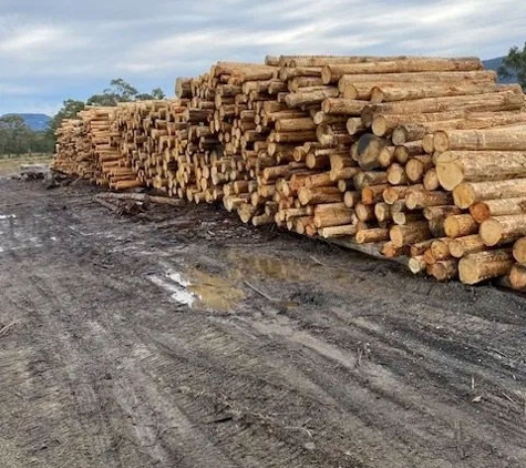 Firewood Devils
