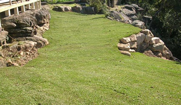 Sammut Turf Supplies - Freemans Reach, NSW