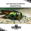 Black Sheep Landscape - Landscape Designers & Consultants