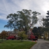 Crawford Tree and Landscape Services Inc gallery