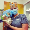VCA Fairfield Animal Hospital gallery