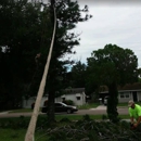 Dave & Jo's Tree Service & Stump Grinding - Landscaping & Lawn Services