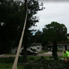Dave & Jo's Tree Service