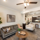 Arlo Luxury Apartment Homes - Apartments