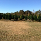 Stinson Christmas Tree Farm