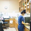 Old Town Animal Hospital - Veterinarian Emergency Services