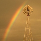 Spring Branch Water Well Service Inc West Texas Division