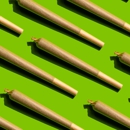 Cannavibes - Holistic Practitioners