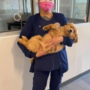 Culebra Creek Veterinary Hospital & Resort - Pet Services